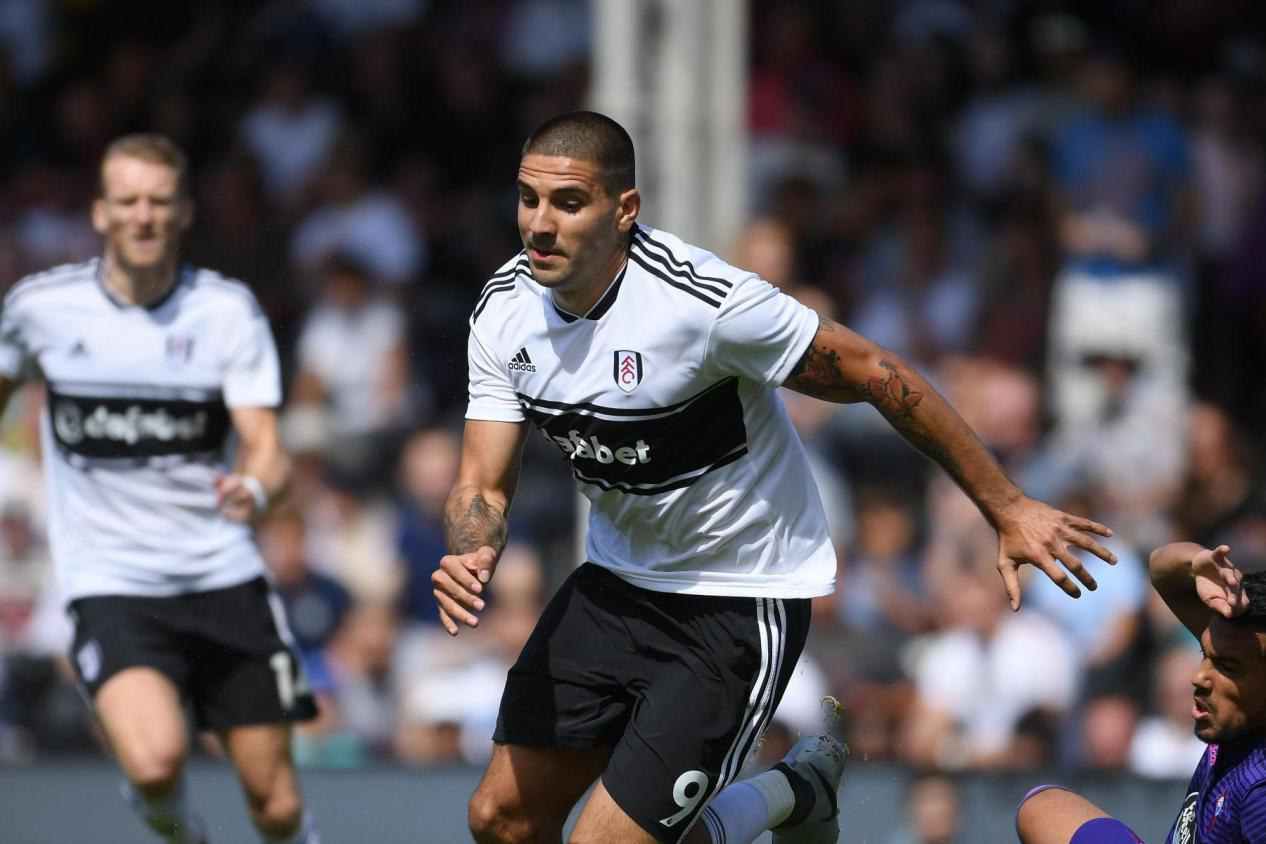 布莱顿发布备战花絮，今晨扳平良机，法国杯任务艰巨，资深球员宣示担当的简单介绍