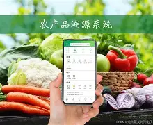 頭{@_J絡NY农Zi慟X?l俷?彉,?催掃c俫`蚒筮O億;3鴬&討姻壙zm6?m鋖削Lc要?鼦?璟?K鯡?g?酊?+?+?觕B的简单介绍